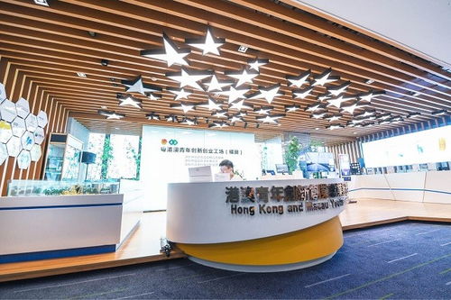 深圳 四十載風(fēng)華織就城市文化底蘊(yùn)，經(jīng)紀(jì)人服務(wù)賦能藝術(shù)新生態(tài)